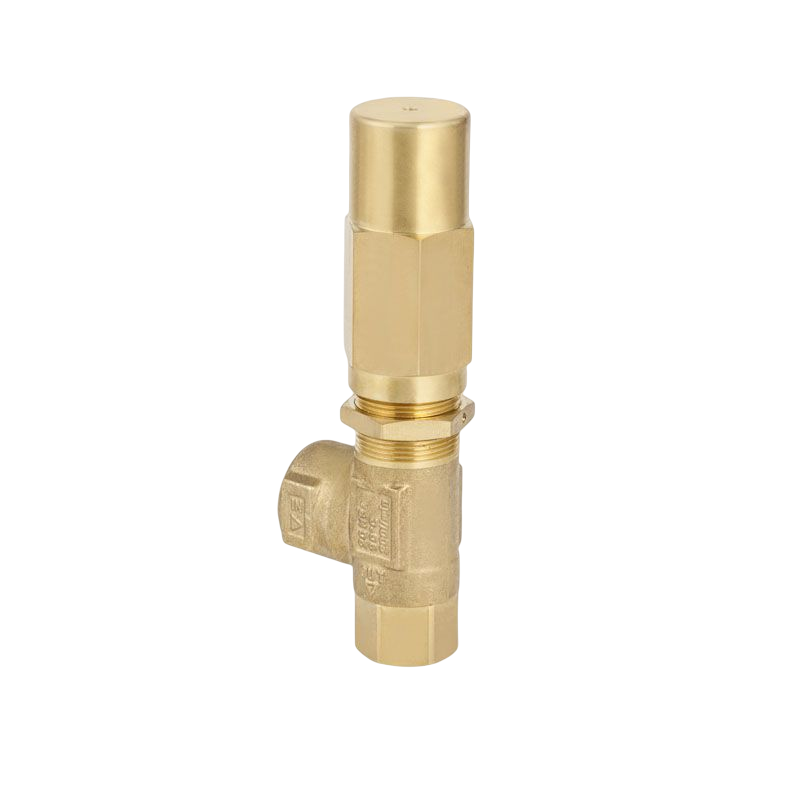 Princeps Pressura Plunger Pump Valvae et partes